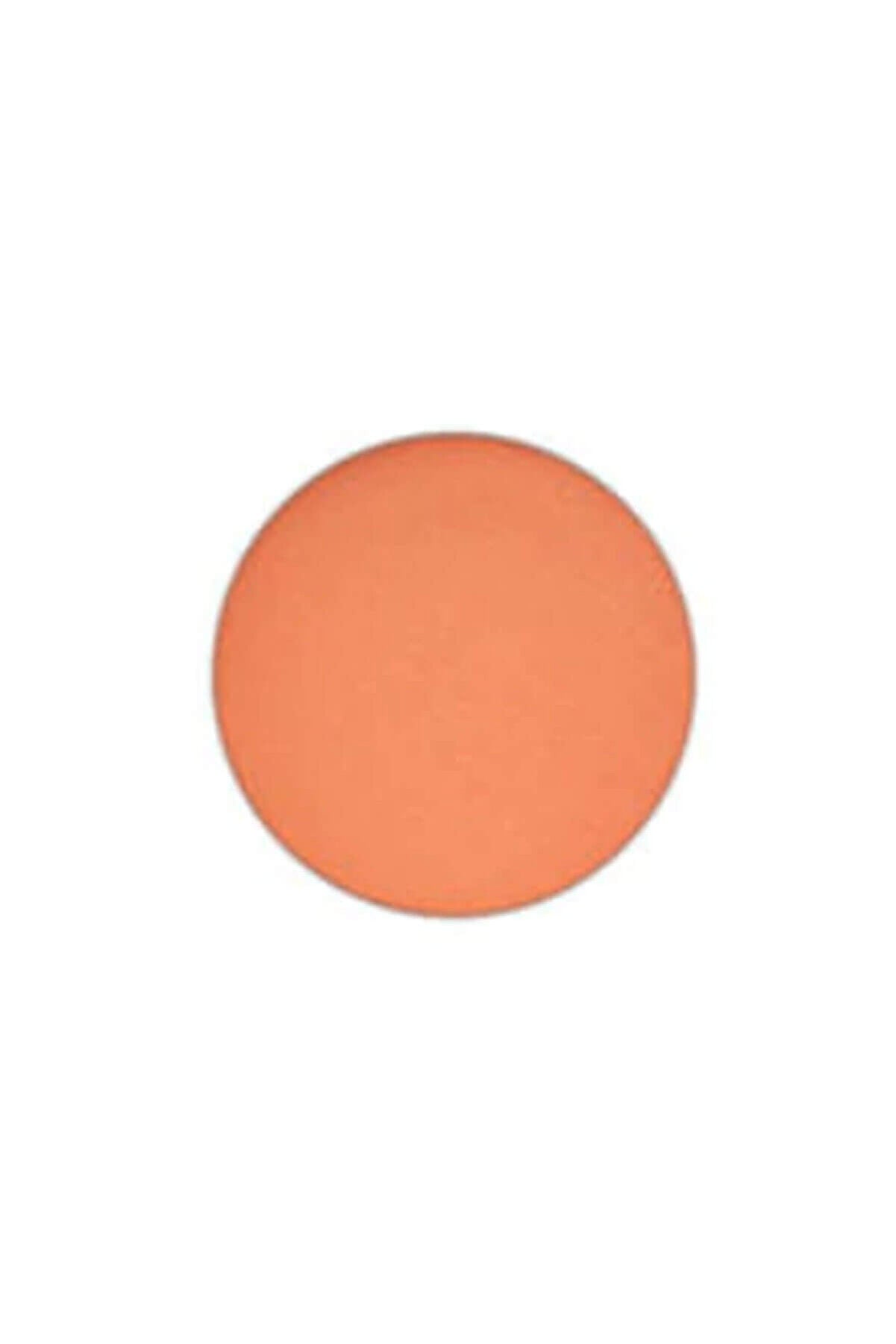 Eye Shadow Refill Pro Pan 1.5 Gr (0.05 Oz)